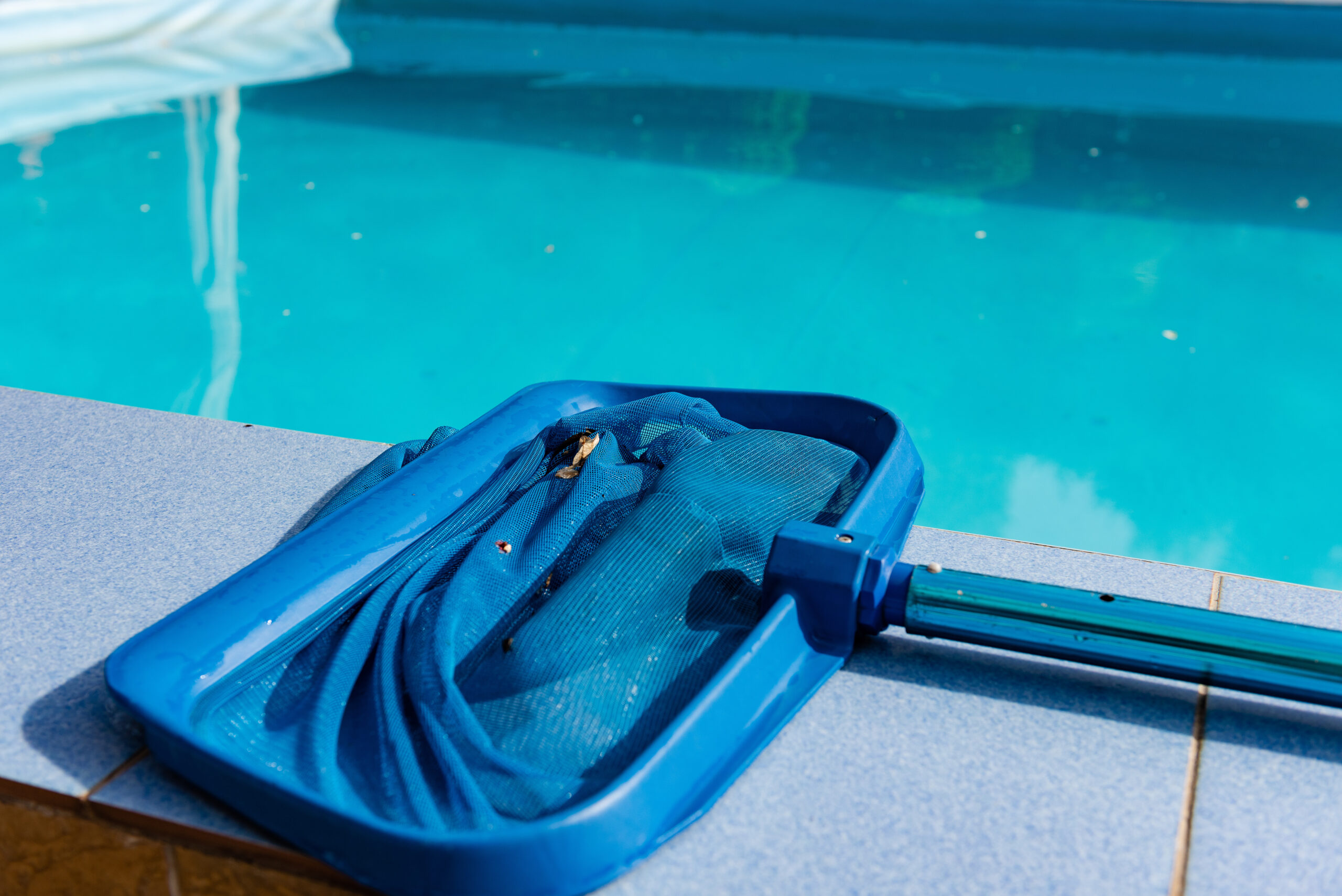 Pool Maintenance