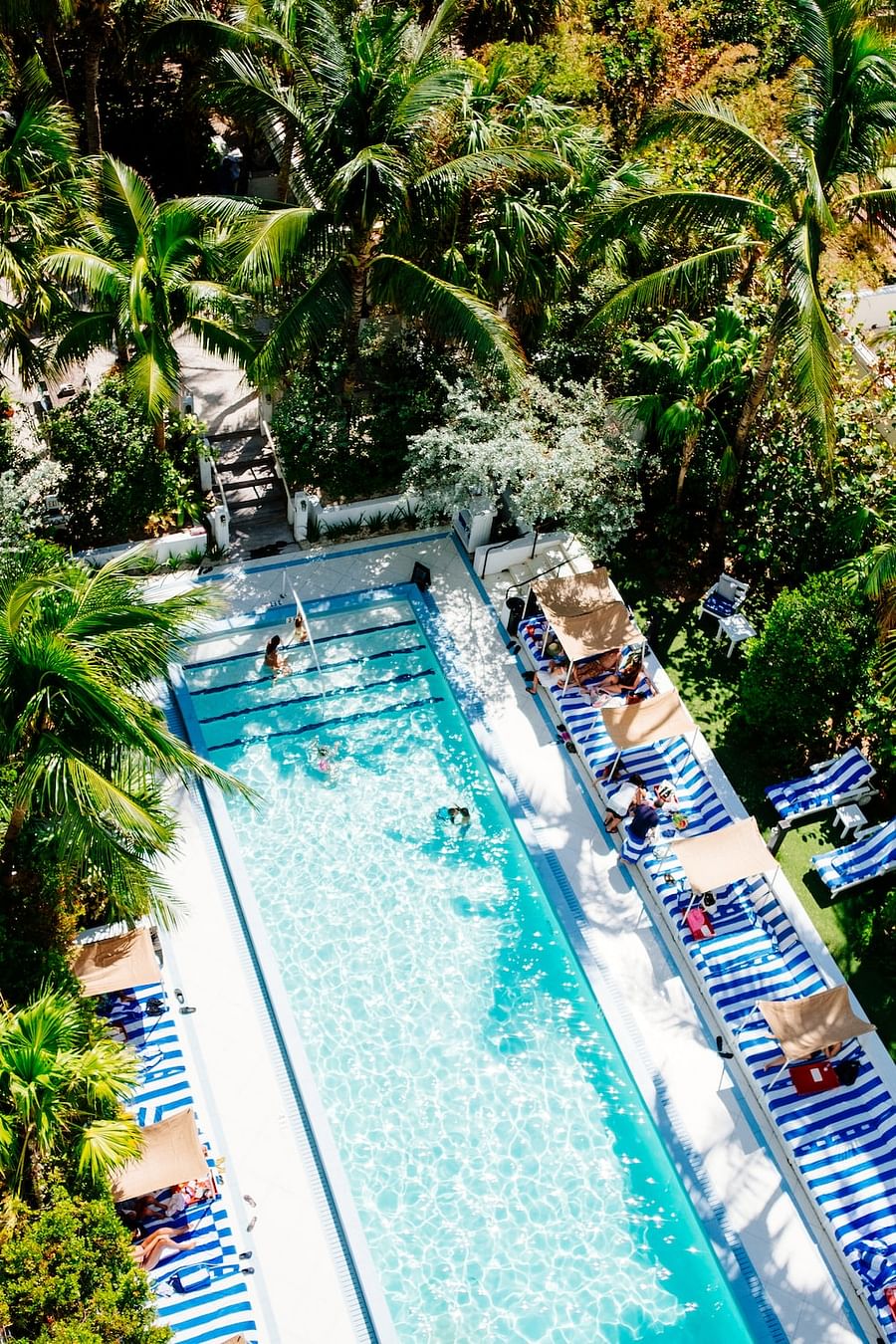 A pool surrounded by trees