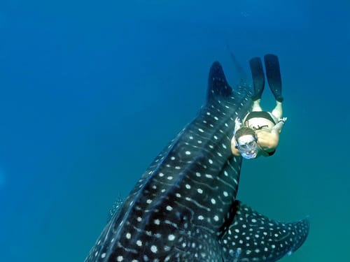 Crack or Crevice? Expert Techniques for Swimming Pool Leak Detection