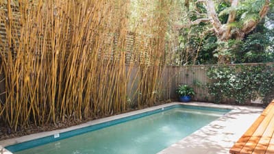 Swimming Pool Filter Maintenance: Ensuring Crystal Clear Water