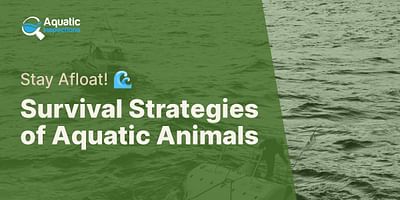 Survival Strategies of Aquatic Animals - Stay Afloat! 🌊