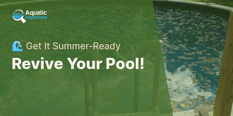 Revive Your Pool! - 🌊 Get It Summer-Ready