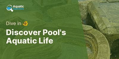 Discover Pool's Aquatic Life - Dive in 🐠