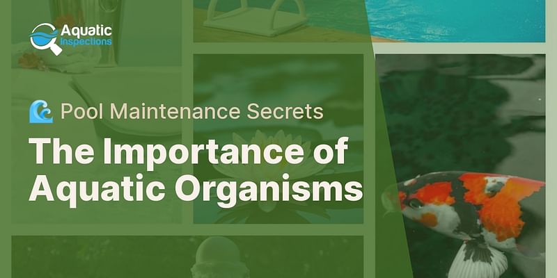 The Importance of Aquatic Organisms - 🌊 Pool Maintenance Secrets