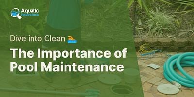 The Importance of Pool Maintenance - Dive into Clean 🏊